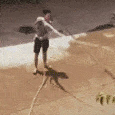 开心一刻: 女友第一次在我家留宿, 爸妈都回避了, 第二天老妈问…